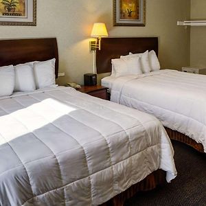 King Room Two King Beds Accessible or Non-Smoking